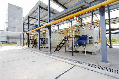 2000萬(wàn)大卡天然氣導(dǎo)熱油鍋爐報(bào)價(jià)多少錢