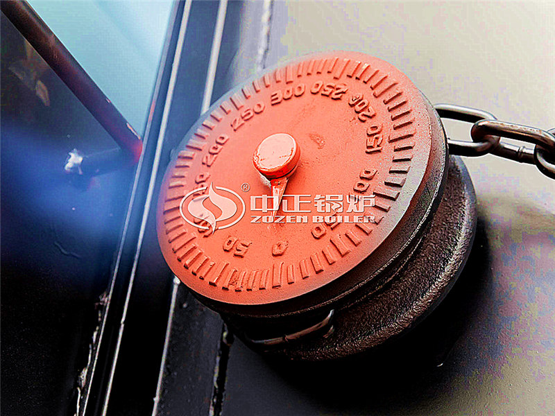 2000萬(wàn)大卡燃油導(dǎo)熱油鍋爐排名