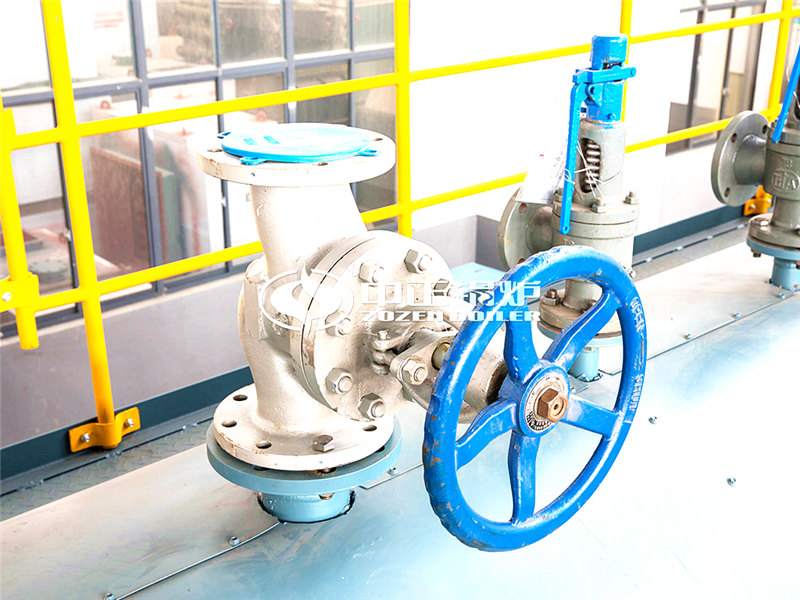 40T天然氣導(dǎo)熱油鍋爐多少錢(qián)合適