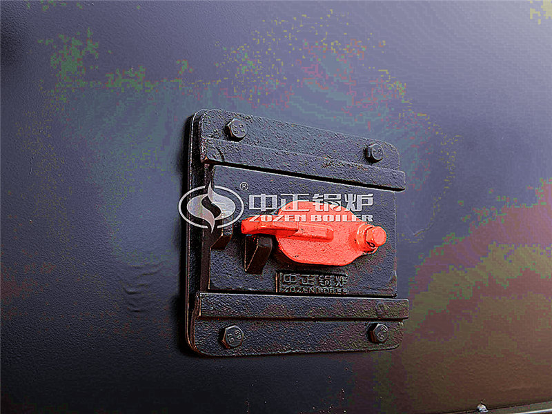 燃生物質導熱油鍋爐廠 還有發(fā)展嗎